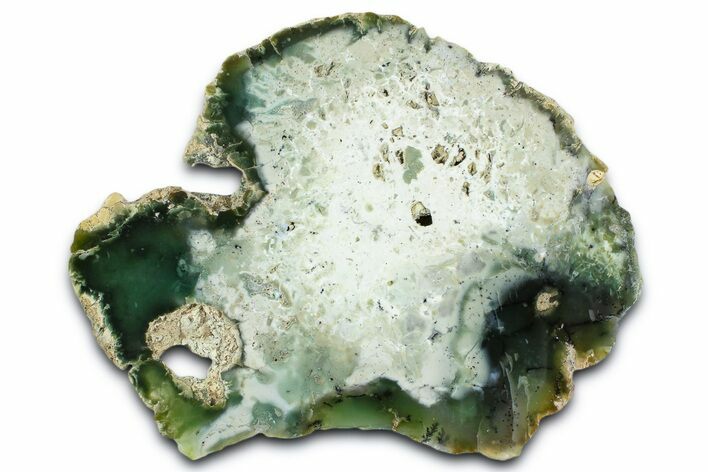 Polished Green Chrysoprase Slab - Western Australia #364237